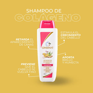 Ginsenat Shampoo de Colágeno para Cabello Fino y Frágil – Fortalece y Da Volumen – 650 ml (22 oz fl)
