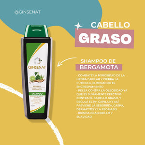 Ginsenat Shampoo de Bergamota, fórmula con Aloe Vera y Ginseng, para cabello graso, 650 ml