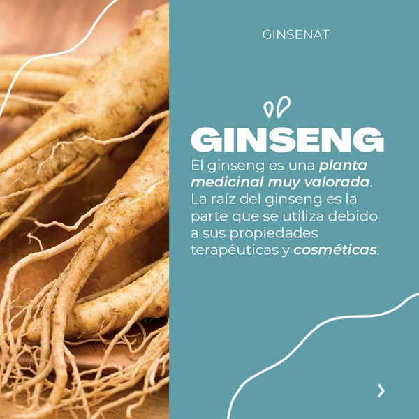 Ginsenat Shampoo de Chile, 22 oz fl – Shampoo con Ginseng y Chile para Cabello Fino – Fortalece las Raíces y Promueve el Crecimiento – Fórmula Unisex