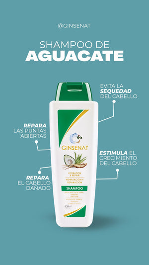 Ginsenat Shampoo de Ginseng y Aguacate para Cabello Seco – Hidratación Profunda y Reparación – 22 oz fl