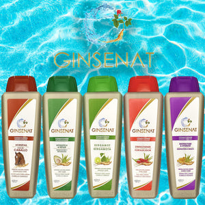 Ginsenat Shampoo de Ginseng y Aguacate para Cabello Seco – Hidratación Profunda y Reparación – 22 oz fl