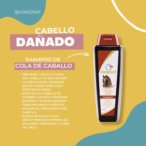 Ginsenat Shampoo de Cola de Caballo y Ginseng, 22 oz fl, para Cabello Dañado, Fórmula Fortalecedora