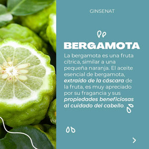 Ginsenat Shampoo de Bergamota, fórmula con Aloe Vera y Ginseng, para cabello graso, 650 ml