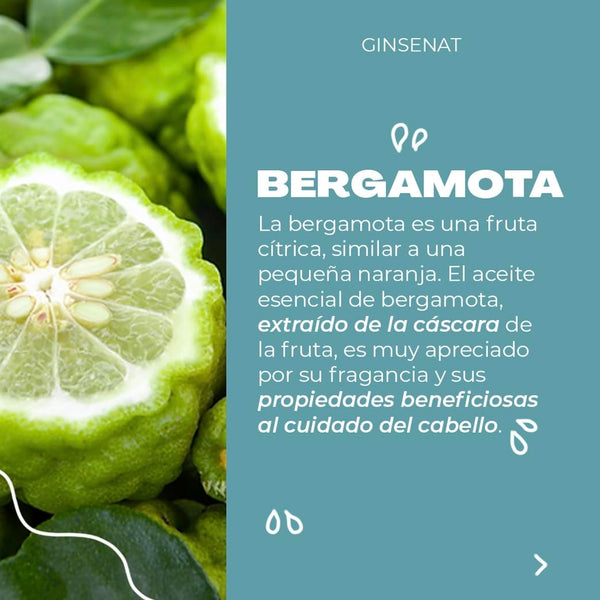Ginsenat Shampoo de Bergamota, fórmula con Aloe Vera y Ginseng, para cabello graso, 650 ml