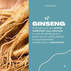 Ginsenat Acondicionador Orgánico con Ginseng y Aloe Vera – 520 ml (17.58 oz fl)